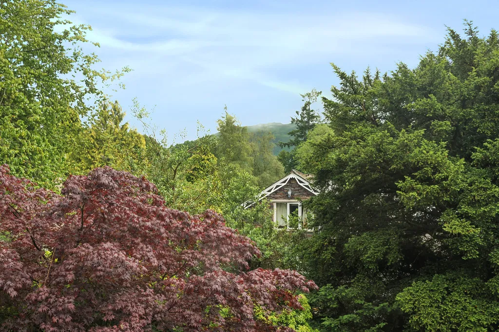 College Street, Grasmere, LA22, photo 9