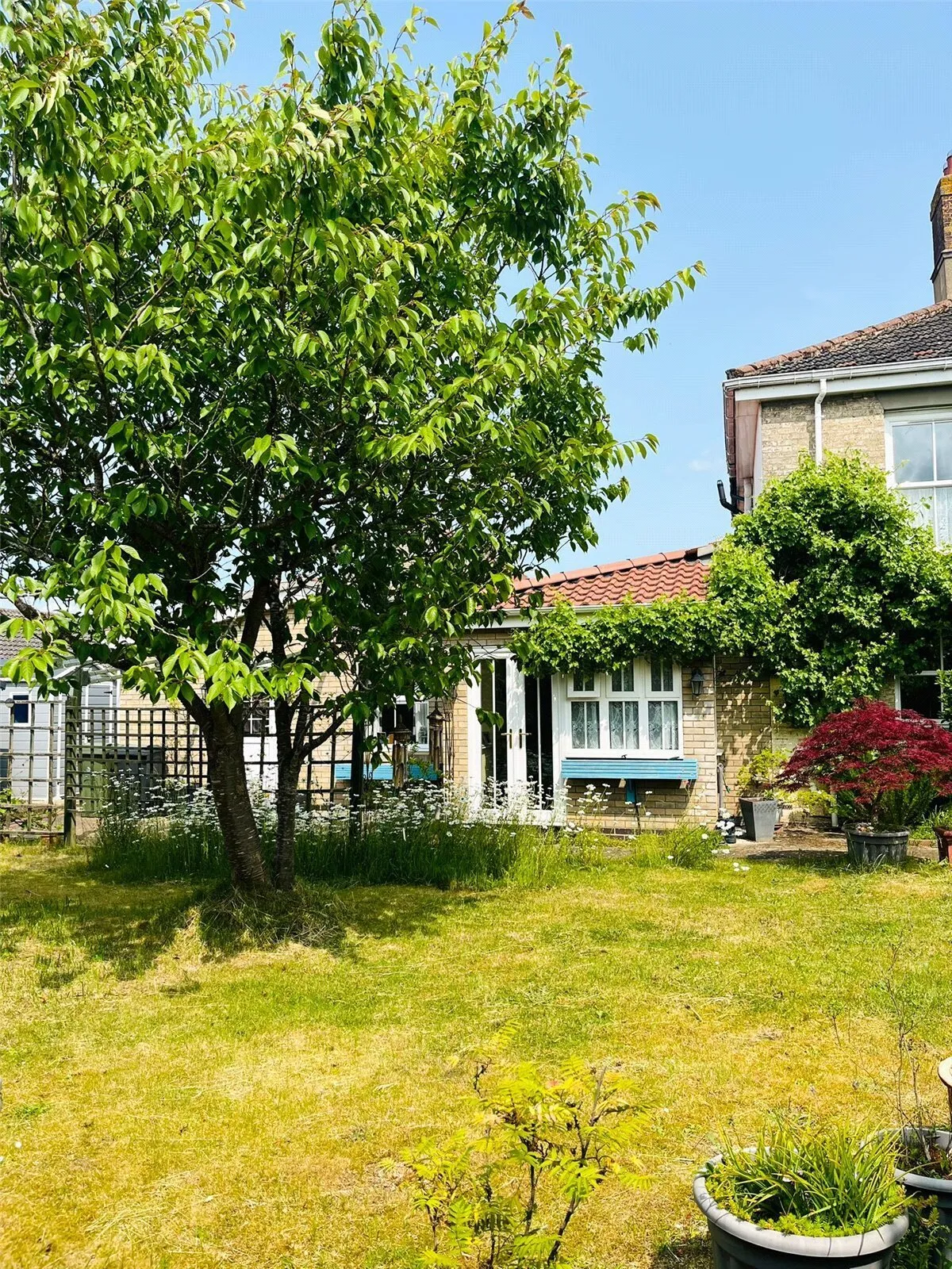 Merton Road, Watton, Thetford, Norfolk, IP25, photo 21
