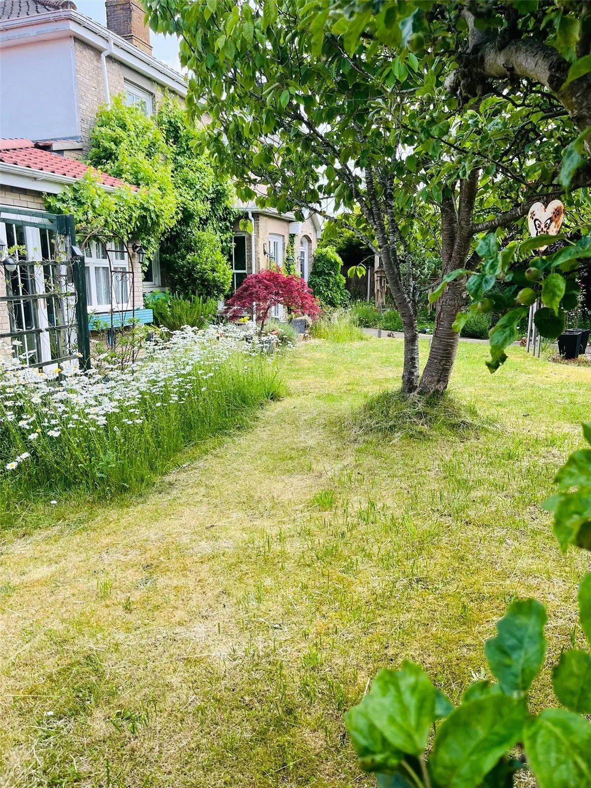 Merton Road, Watton, Thetford, Norfolk, IP25, photo 19