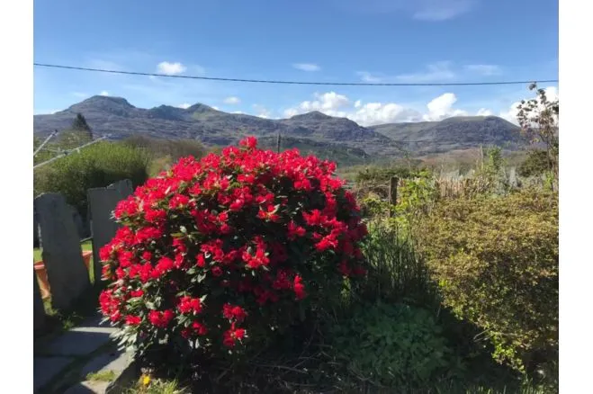 Belle Vue, Llan Ffestiniog, LL41, photo 11
