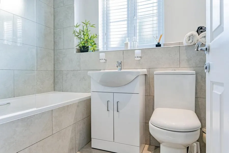 Lordship Lane, London, SE22, photo 7