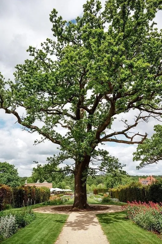 Trent Park, Snakes Lane, Cockfosters, Hertfordshire, EN4 0PS, photo 18