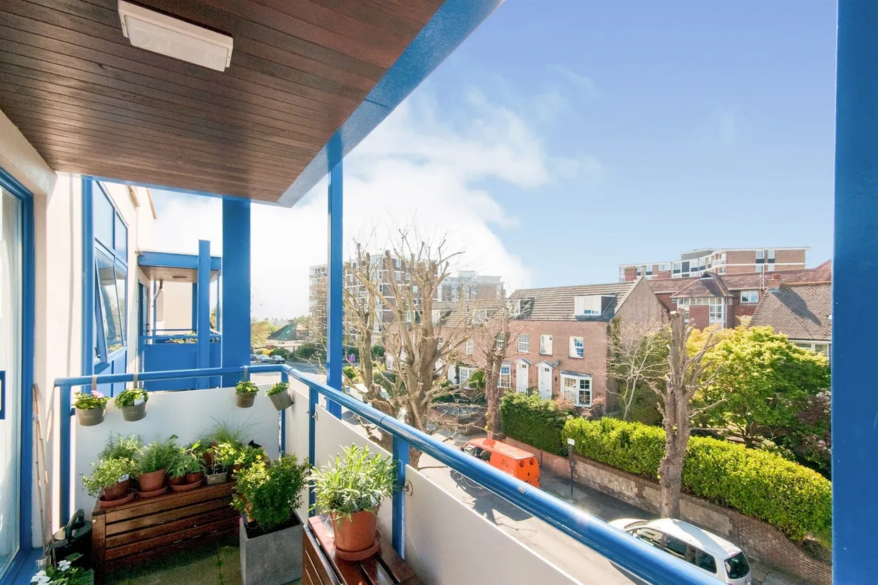 York Avenue, Hove, photo 8