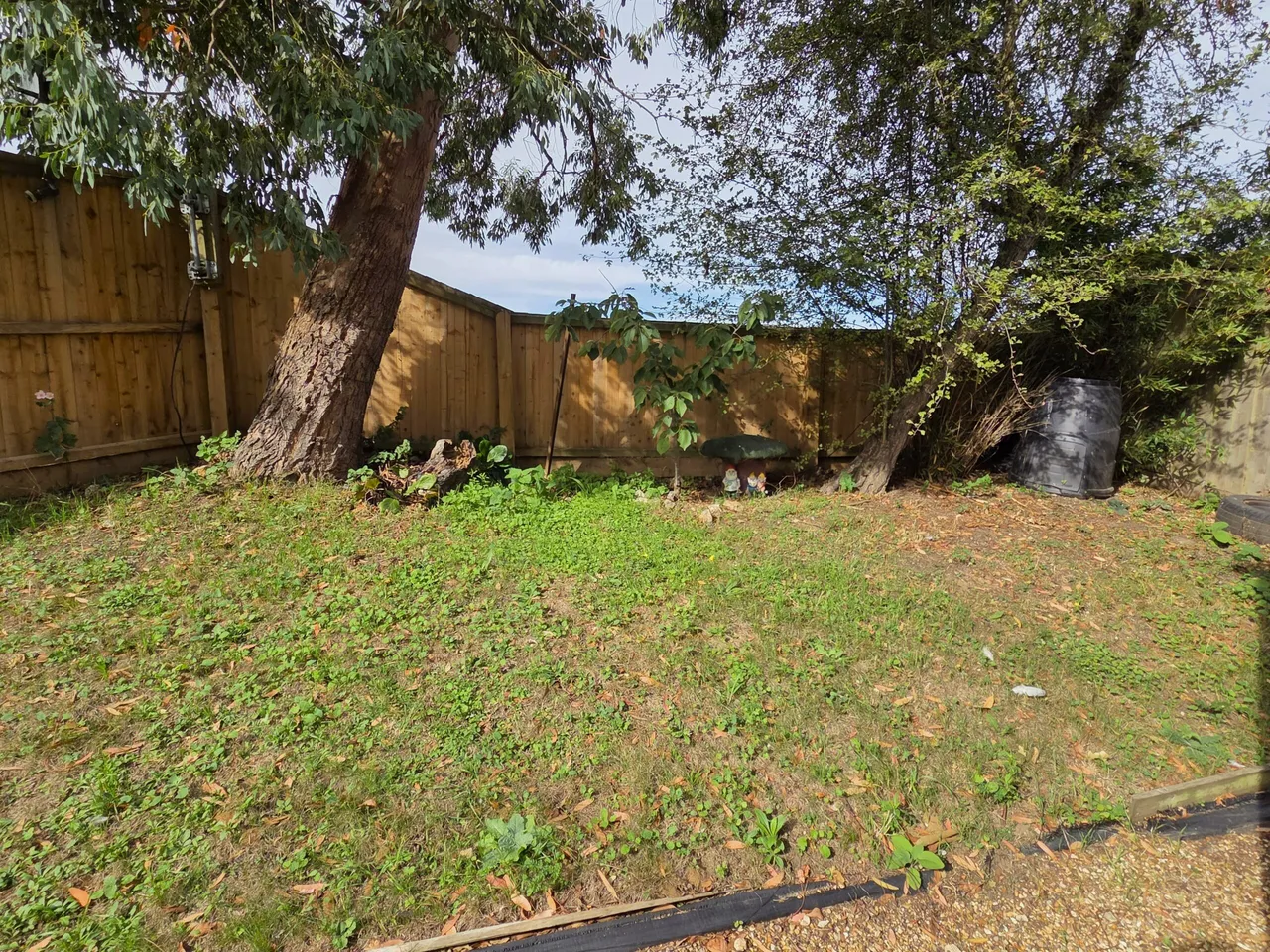 Risby, IP28, photo 12