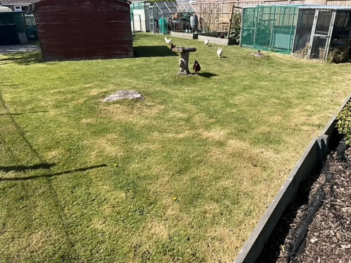 Mablethorpe, LN12 2SA, photo 14