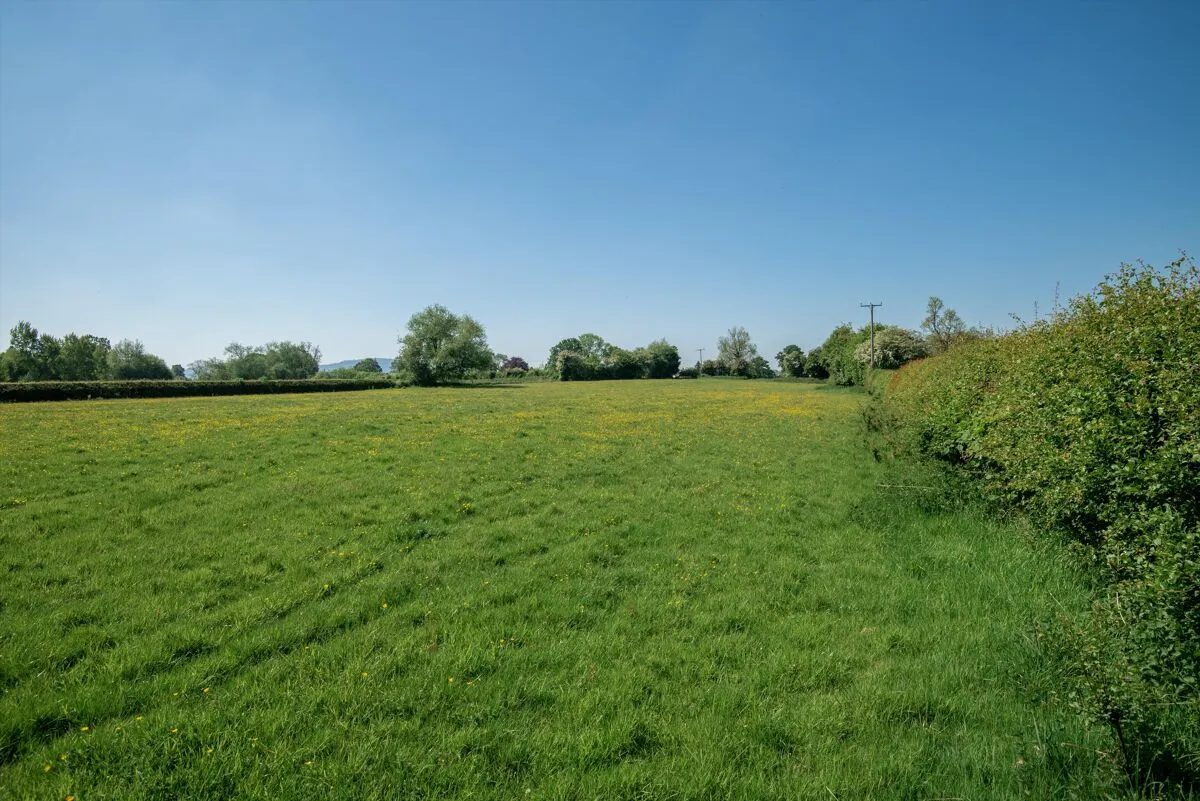 Maesbrook, Oswestry, SY10, photo 42