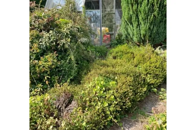 Ridgegrove Lane, Launceston, PL15, photo 12