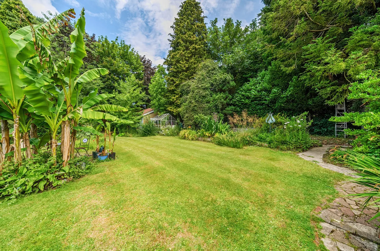 Winchester Road, Four Marks, GU34, photo 8