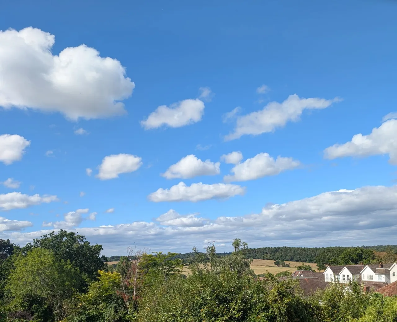 Mount View, Enfield, EN2, photo 14