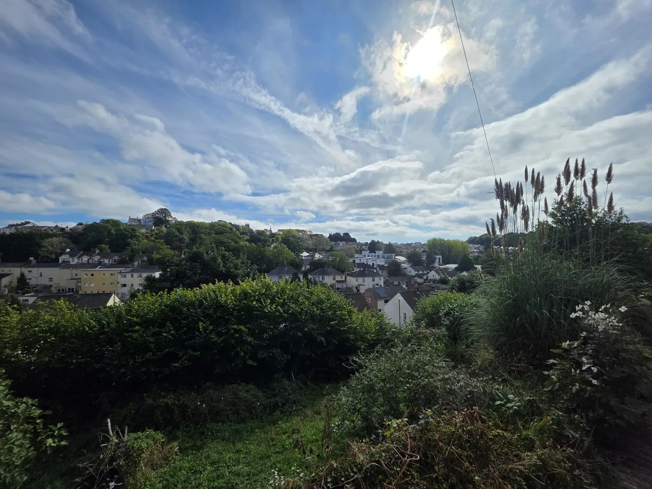 Coombe Lane, TQ2, photo 12