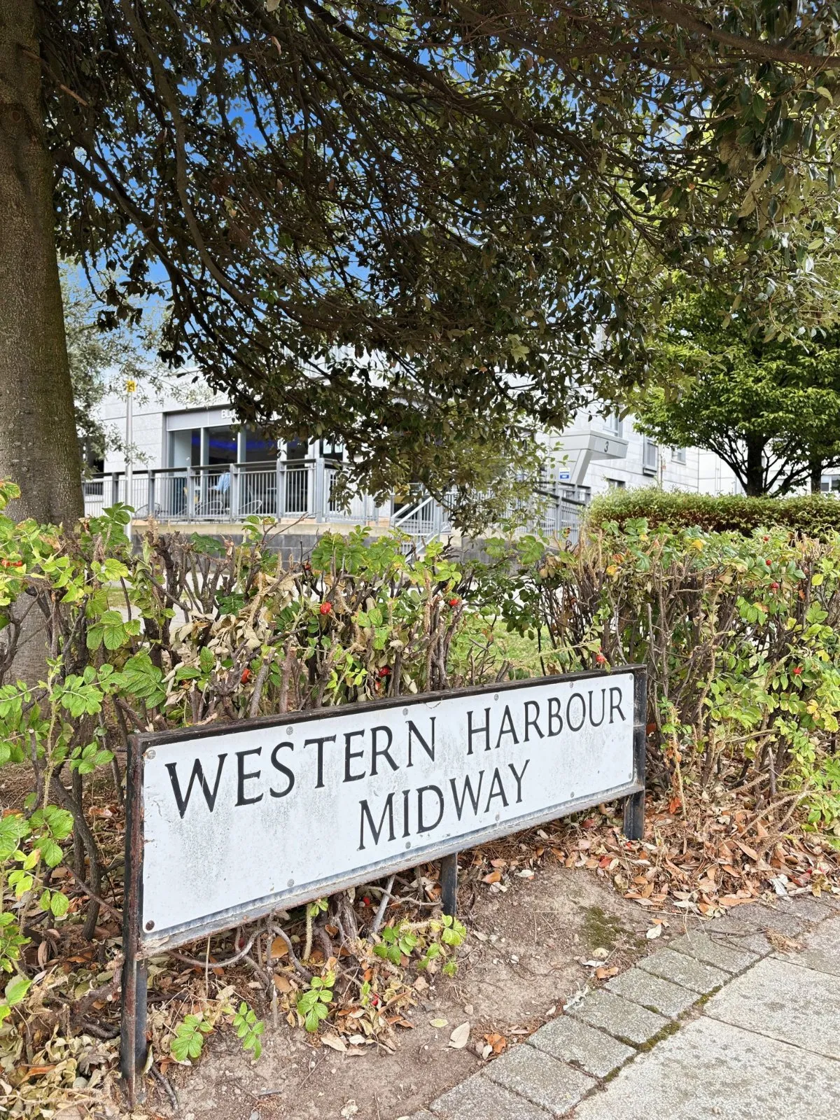 Western Harbour Midway, Newhaven, EH6, photo 13
