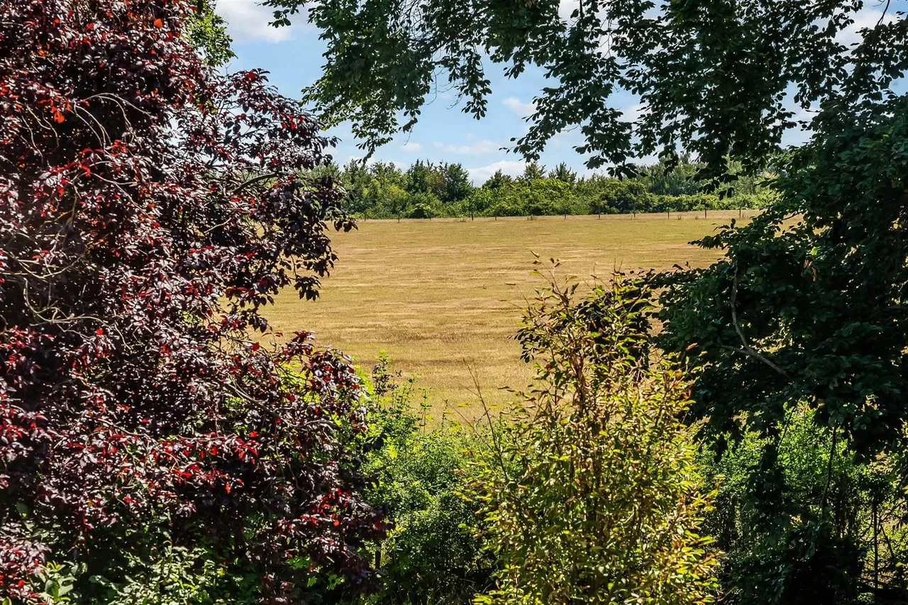Leatherhead Road, Great Bookham, KT23, photo 11