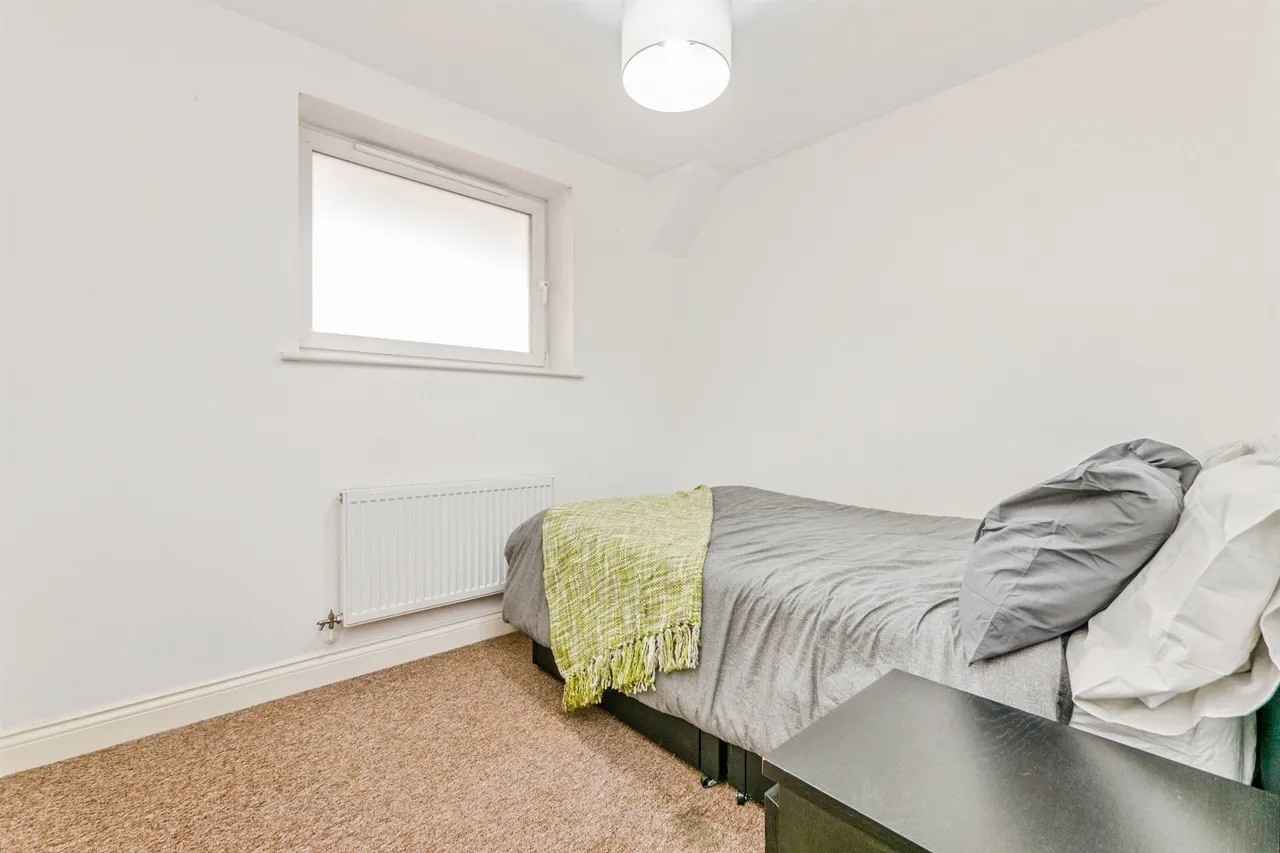 Windsor Road, Cardiff, CF24, photo 27