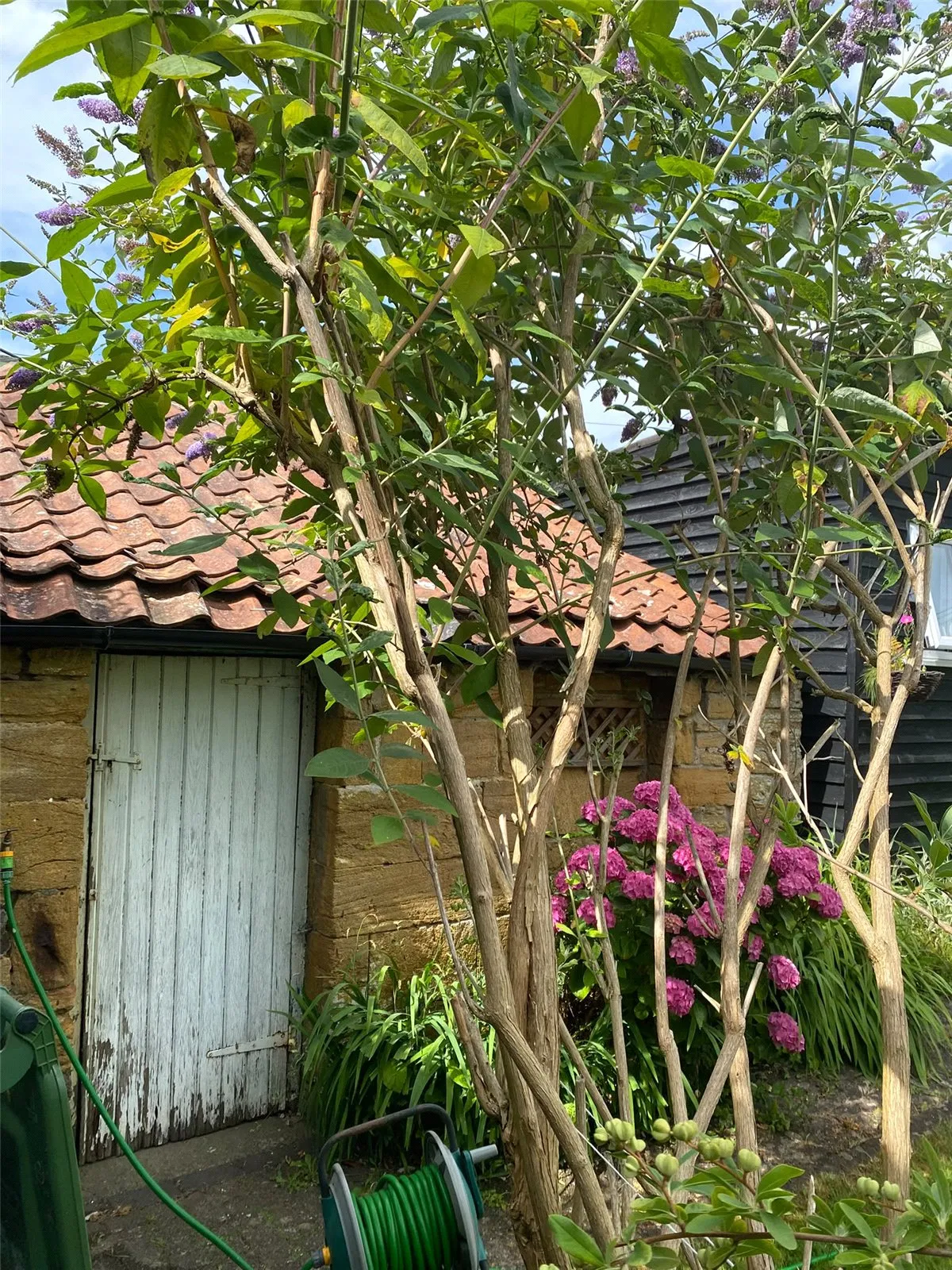 South Street, Montacute, Somerset, TA15 6XD, photo 22