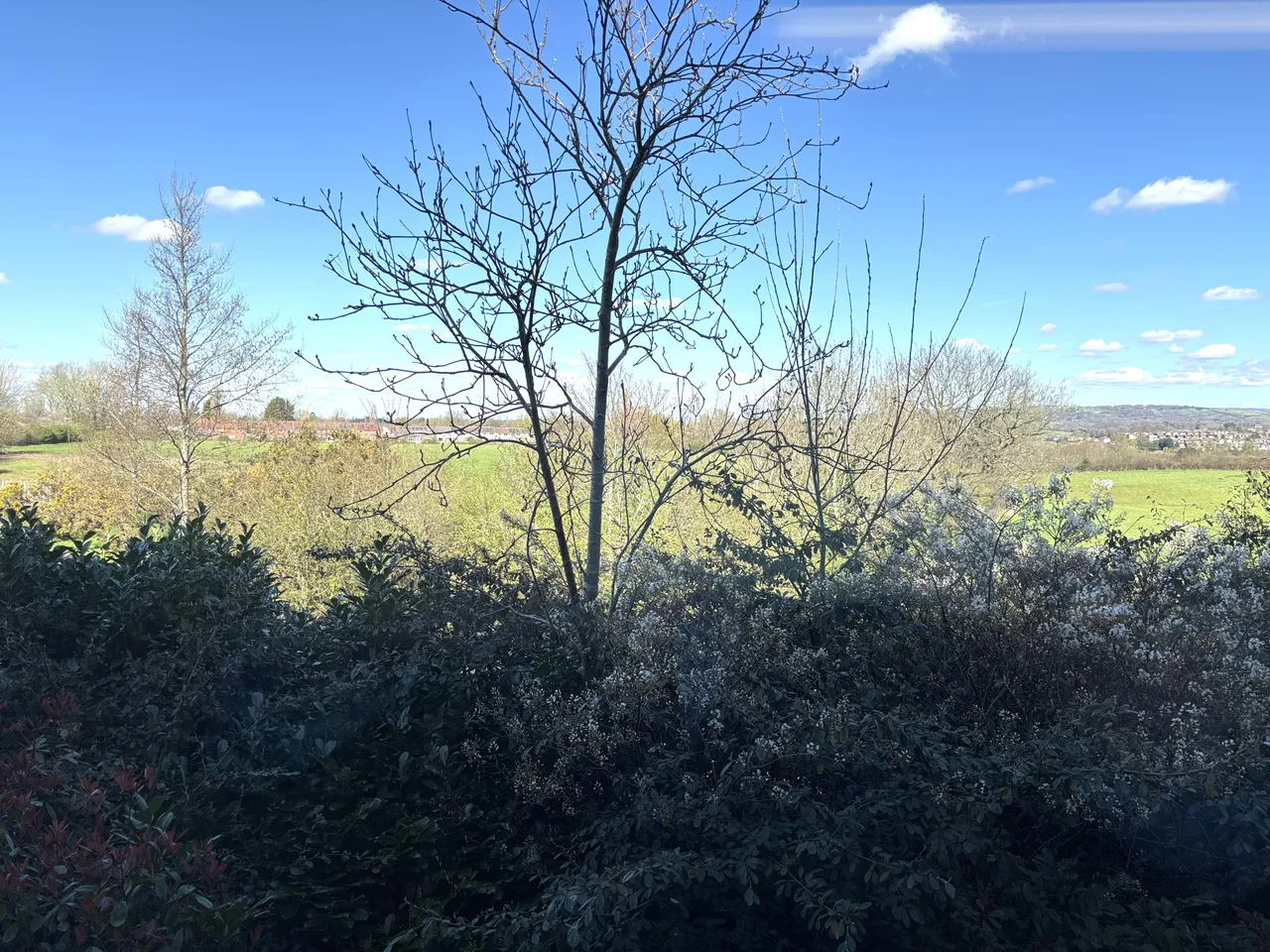 Hazel Grove, Stockport, SK7, photo 15