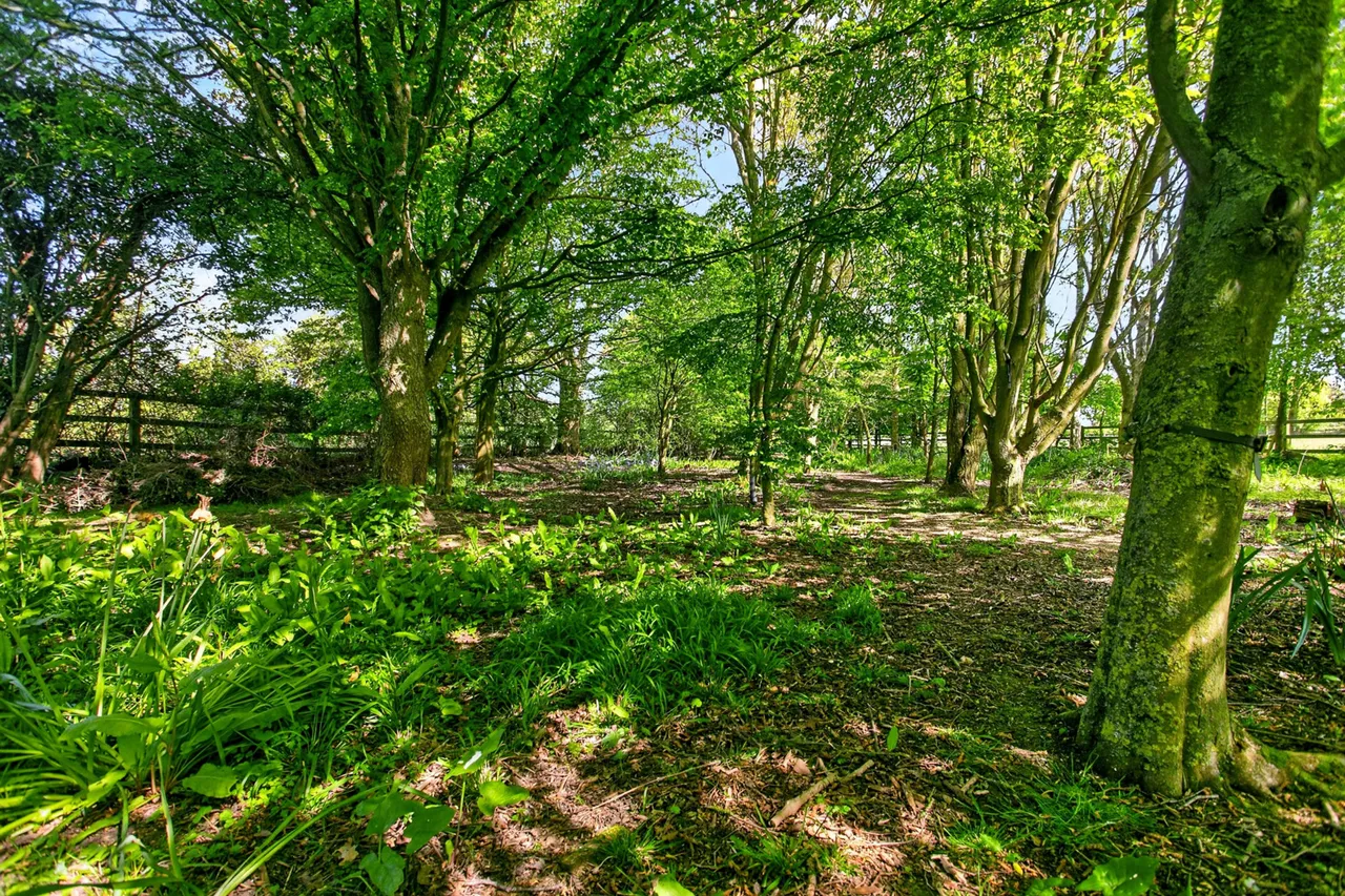Bonds Corner, Grundisburgh, IP13, photo 16
