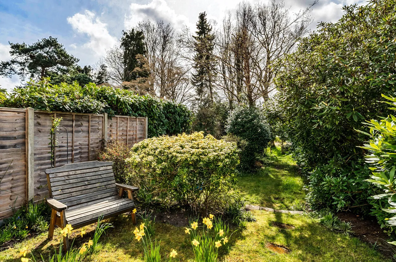 Ambleside Road, Lightwater, Surrey, GU18 5TA, photo 12