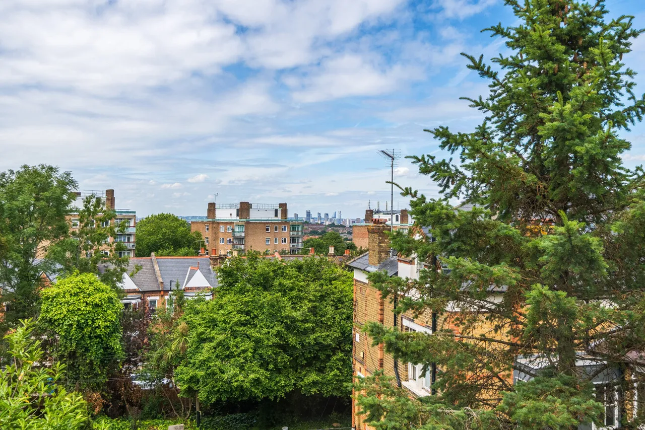 Mount Adon Park, East Dulwich, SE22, photo 7