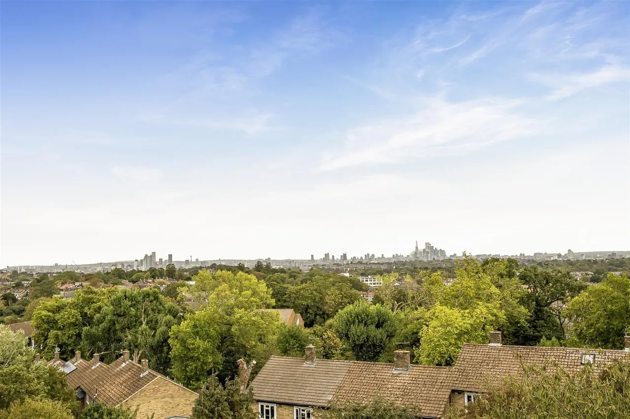 Benton's Rise, London, SE27, photo 6