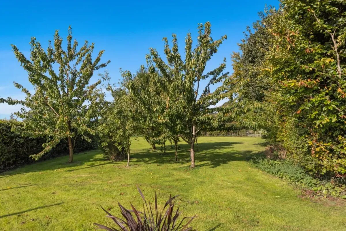 Kerrs Road, Bangor, BT19, photo 76