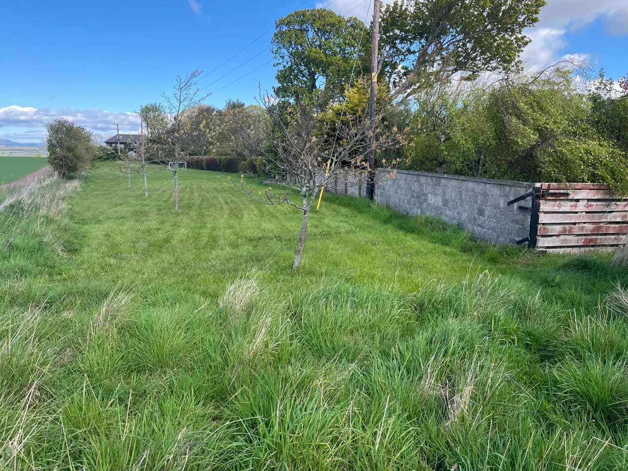 Craigview House, Usan, Montrose, Angus, DD10 9SD, photo 19