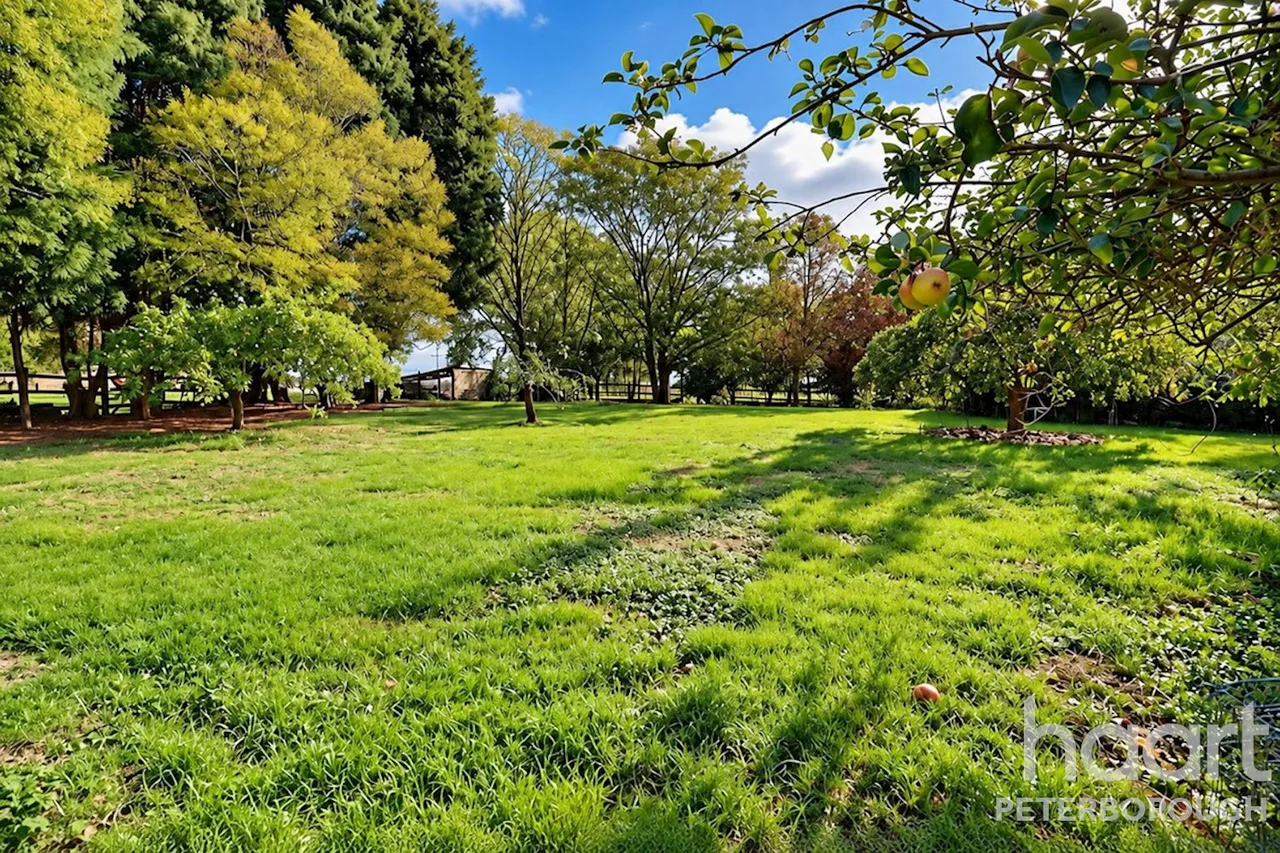 Benwick Road, Peterborough, PE7, photo 18