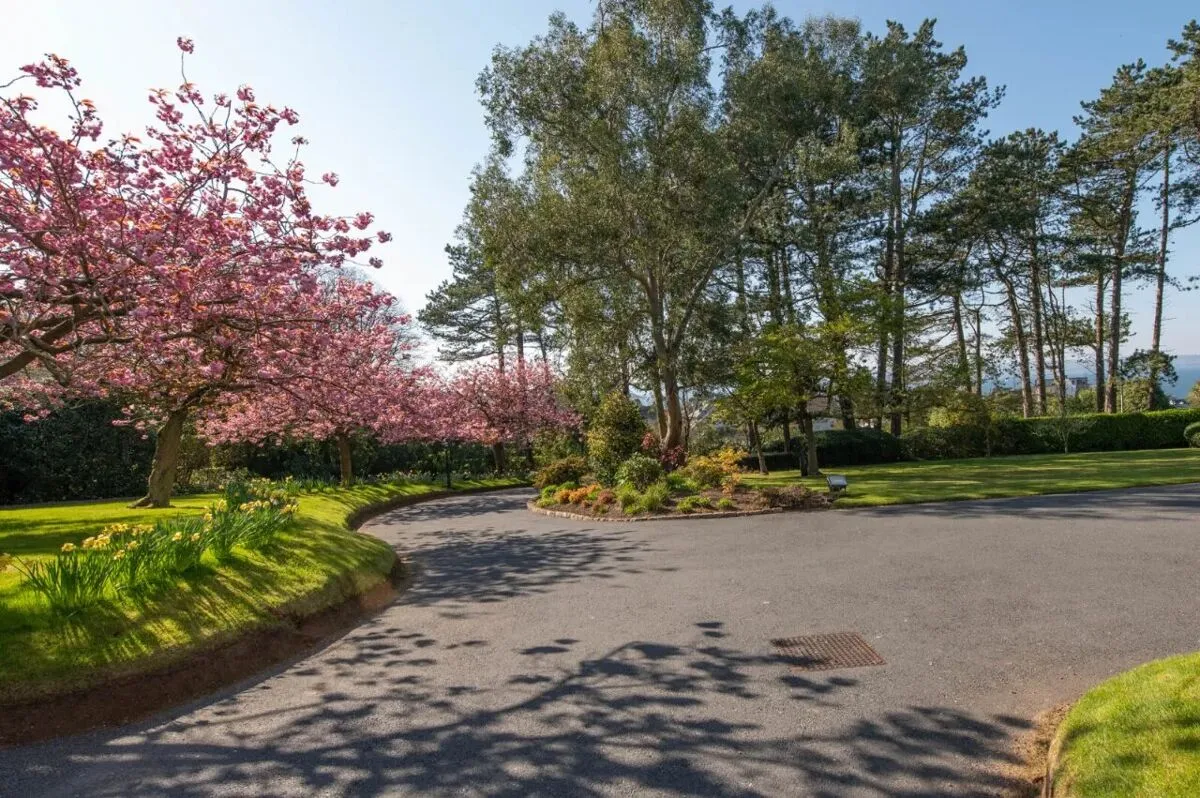 Maxwell Road, Bangor, BT20, photo 79