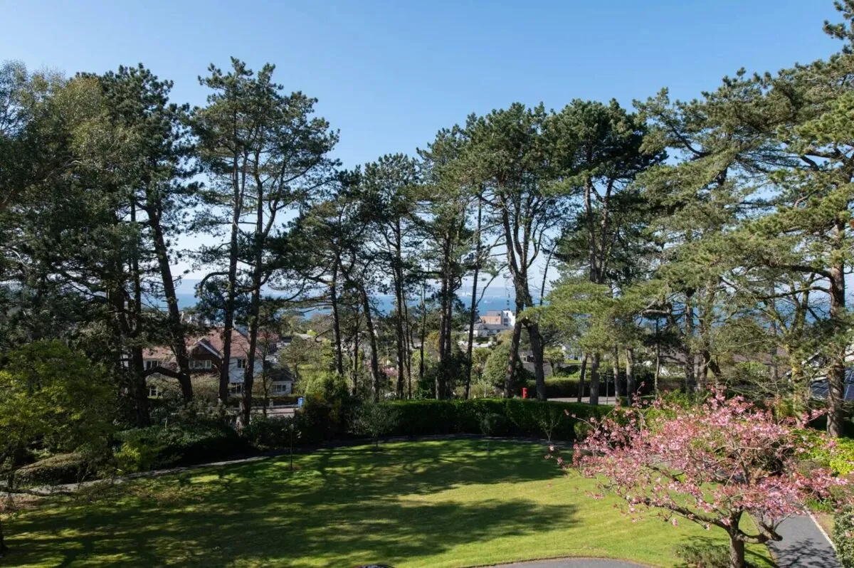 Maxwell Road, Bangor, BT20, photo 64