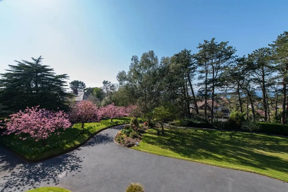 Maxwell Road, Bangor, BT20, photo 65