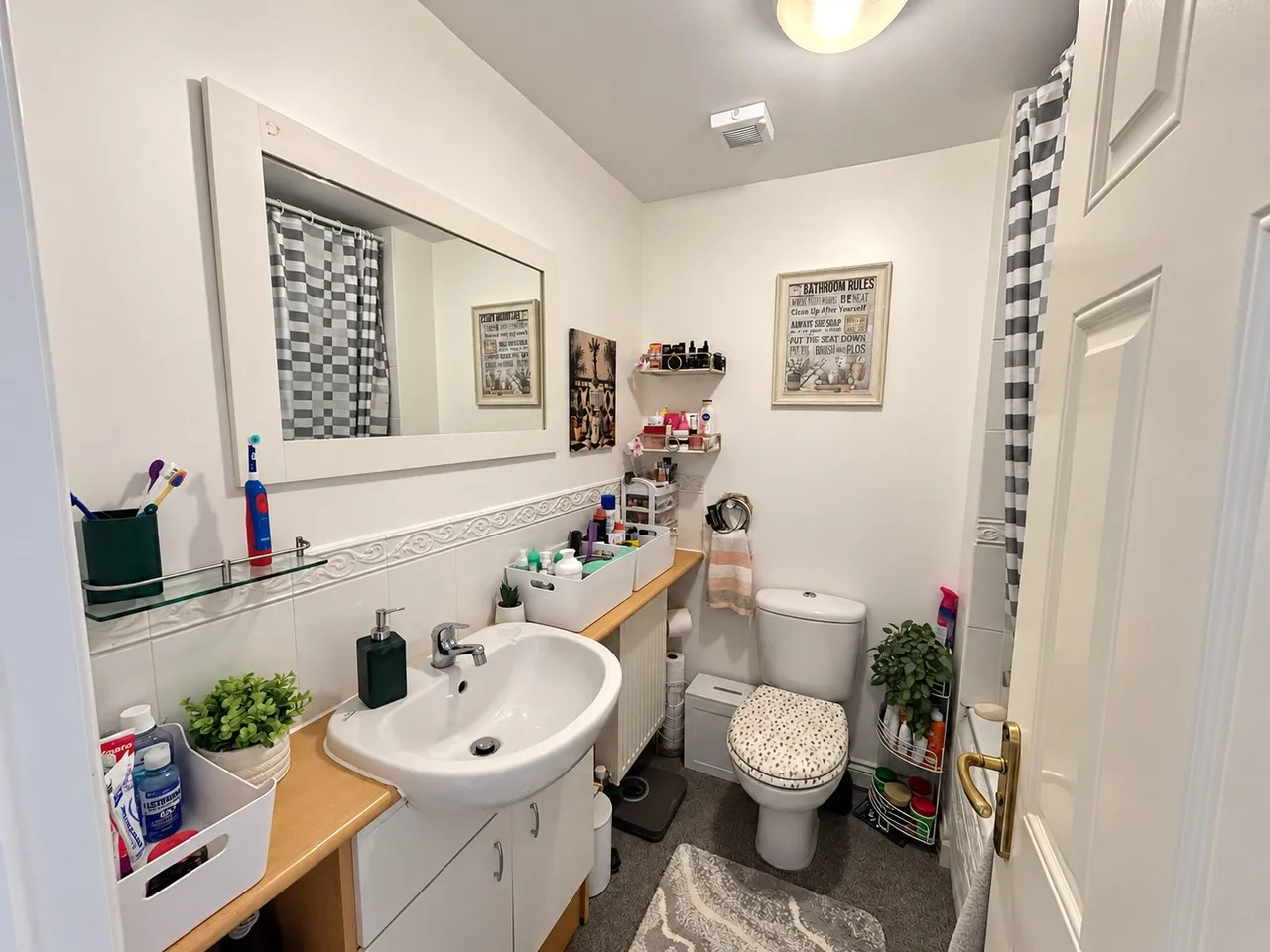 Robin Drive, Launceston, PL15, photo 13