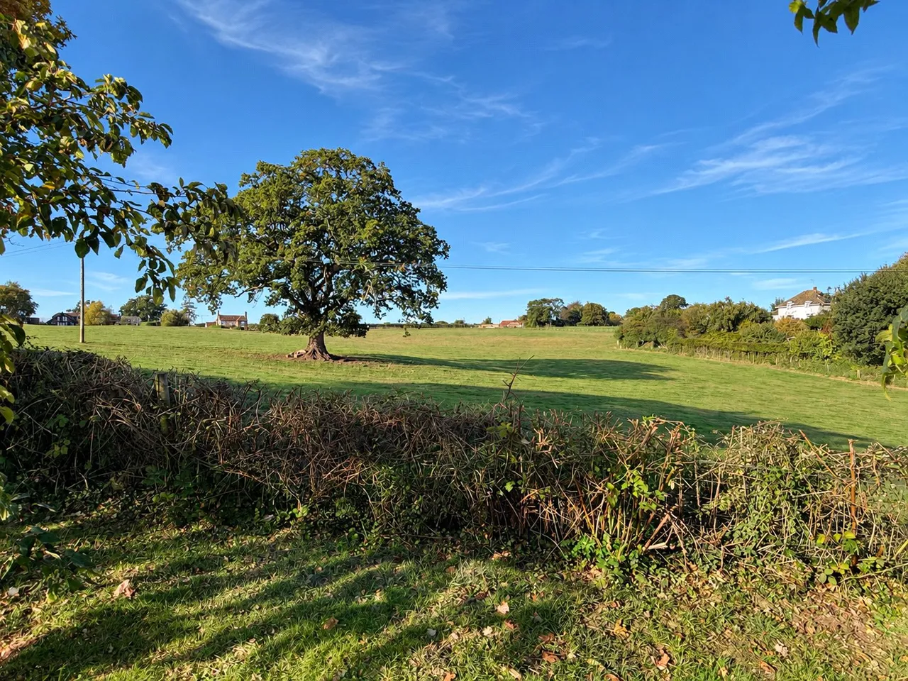 The Row, Redlynch, SP5, photo 21