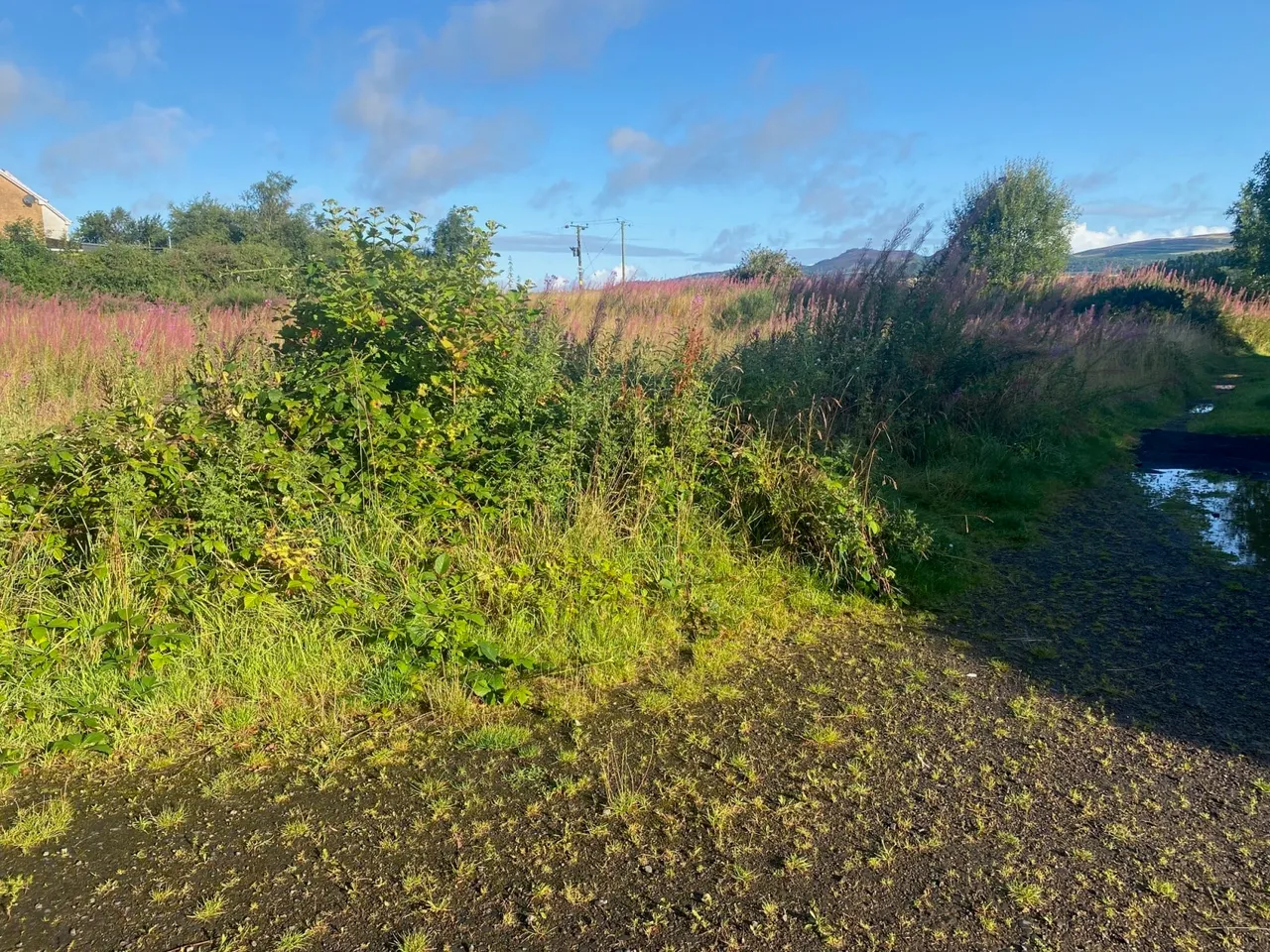 Baldragon Farm Development Site, Logan Crescent, Dundee, Angus, DD3 0ST, photo 2