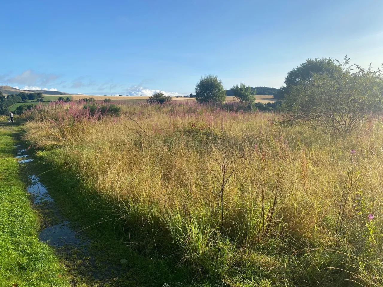 Baldragon Farm Development Site, Logan Crescent, Dundee, Angus, DD3 0ST, photo 6