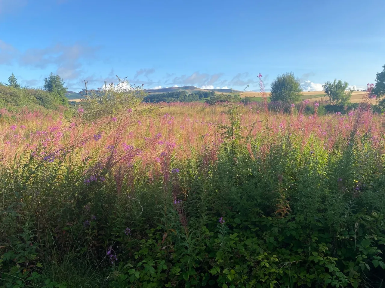 Baldragon Farm Development Site, Logan Crescent, Dundee, Angus, DD3 0ST, photo 4