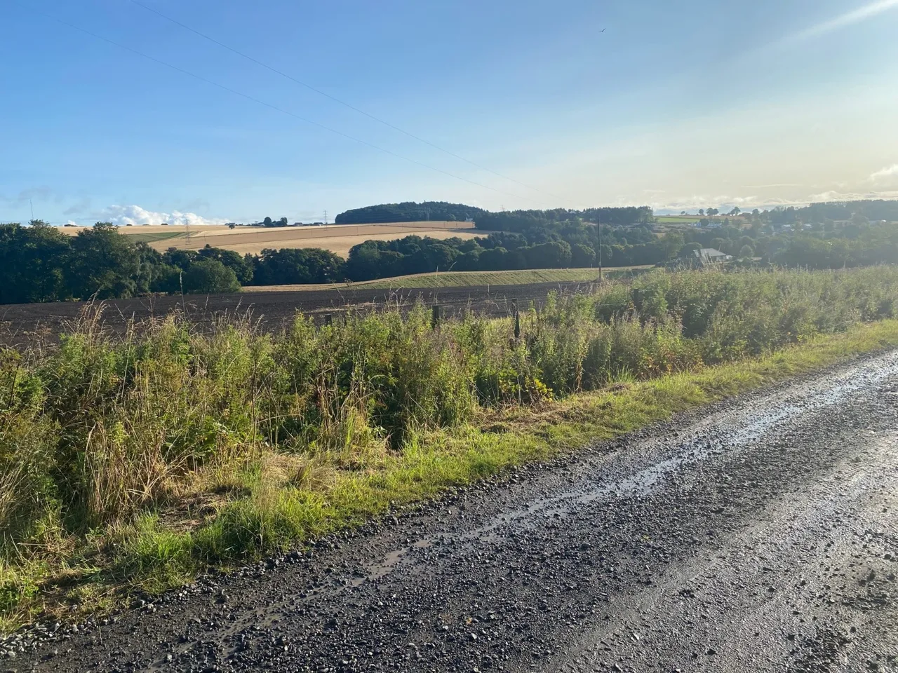 Baldragon Farm Development Site, Logan Crescent, Dundee, Angus, DD3 0ST, photo 10