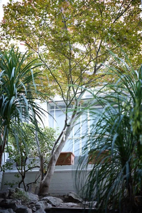 Hatherley Grove, London, W2, photo 44