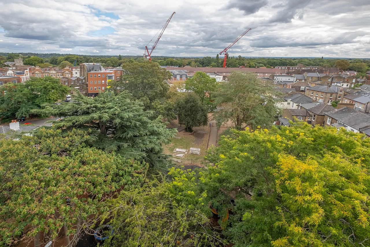 Holly Road, Twickenham, TW1, photo 9
