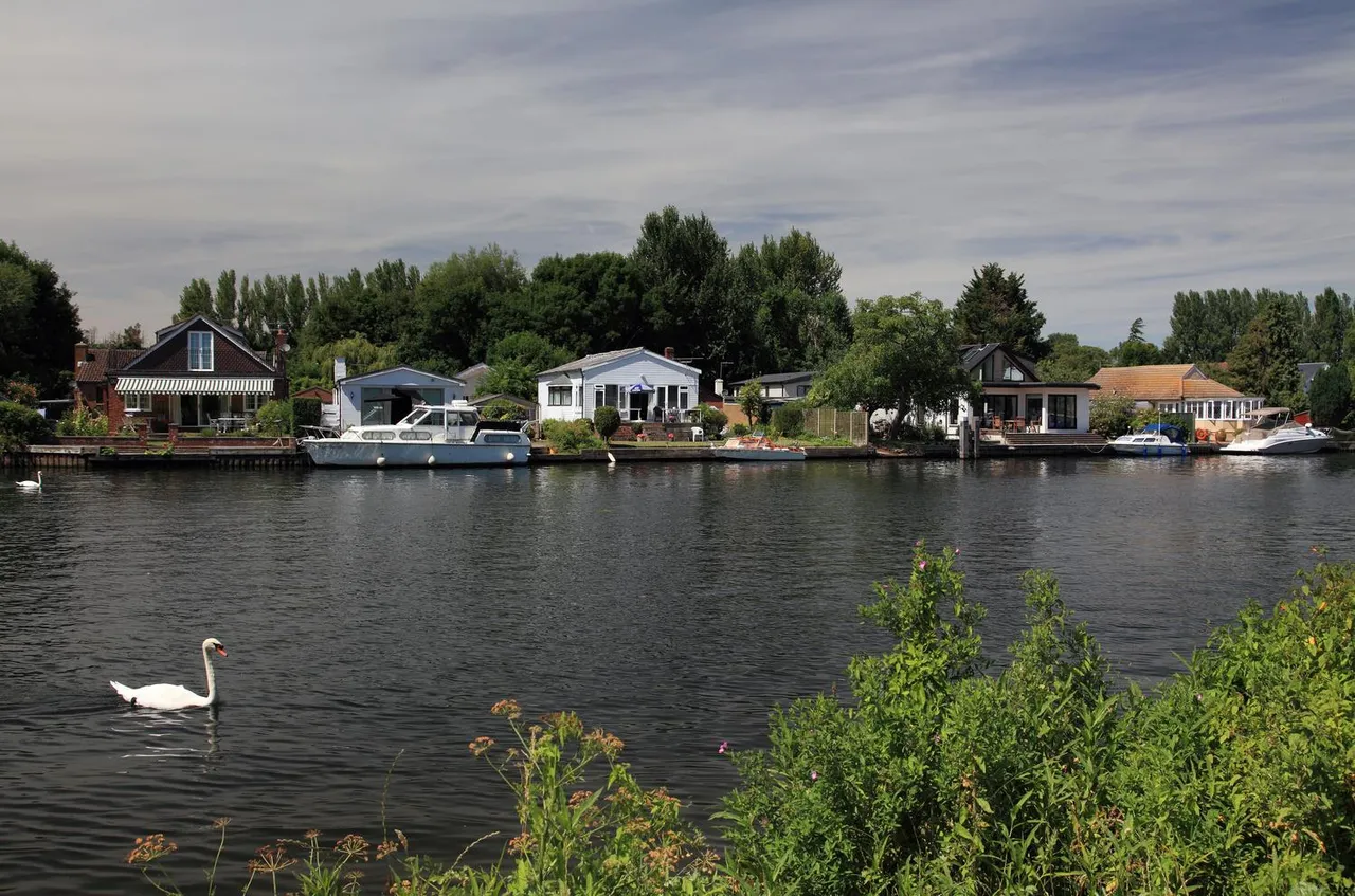 Churchfield Road, Walton-On-Thames, KT12, photo 19