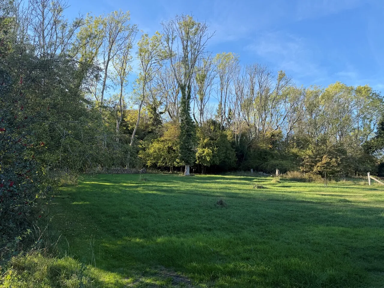 Dome Hill, Caterham, CR3, photo 15