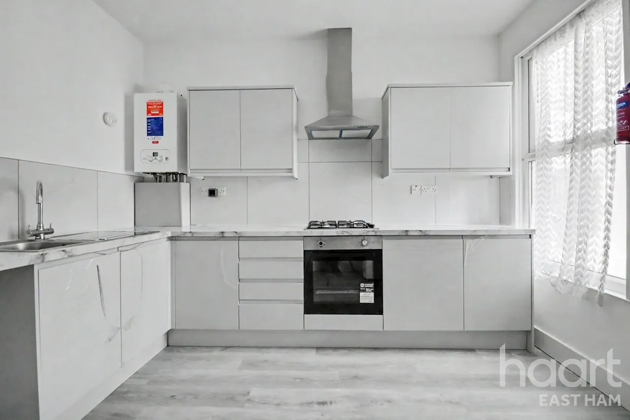 Katherine Road, Forest Gate, E7, photo 12