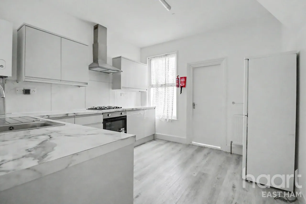 Katherine Road, Forest Gate, E7, photo 11