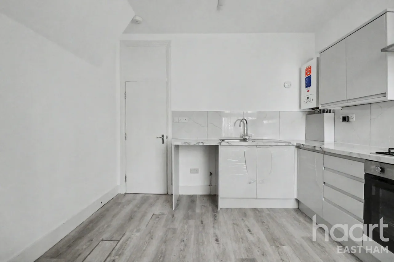 Katherine Road, Forest Gate, E7, photo 13
