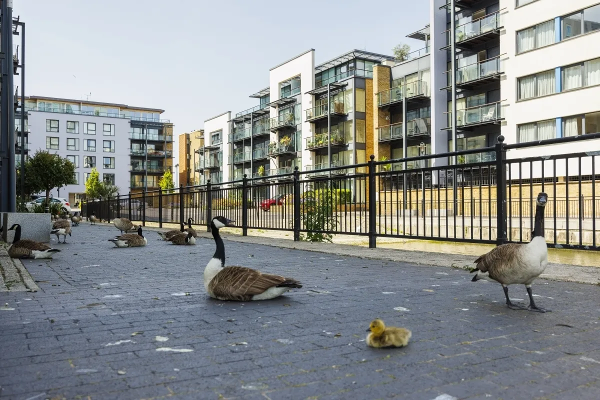 Boardwalk Place, E14, photo 13