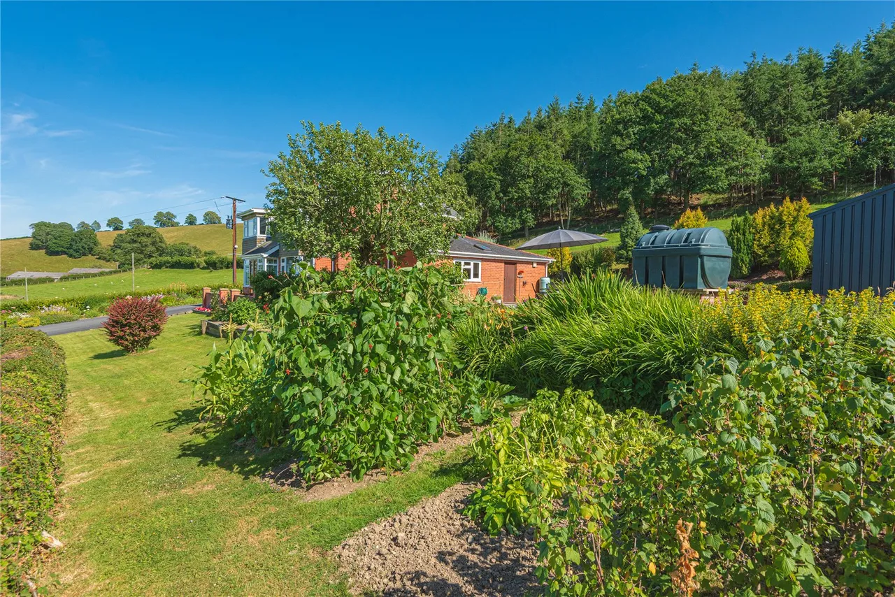 Llandinam, Powys, SY17 5BQ, photo 19
