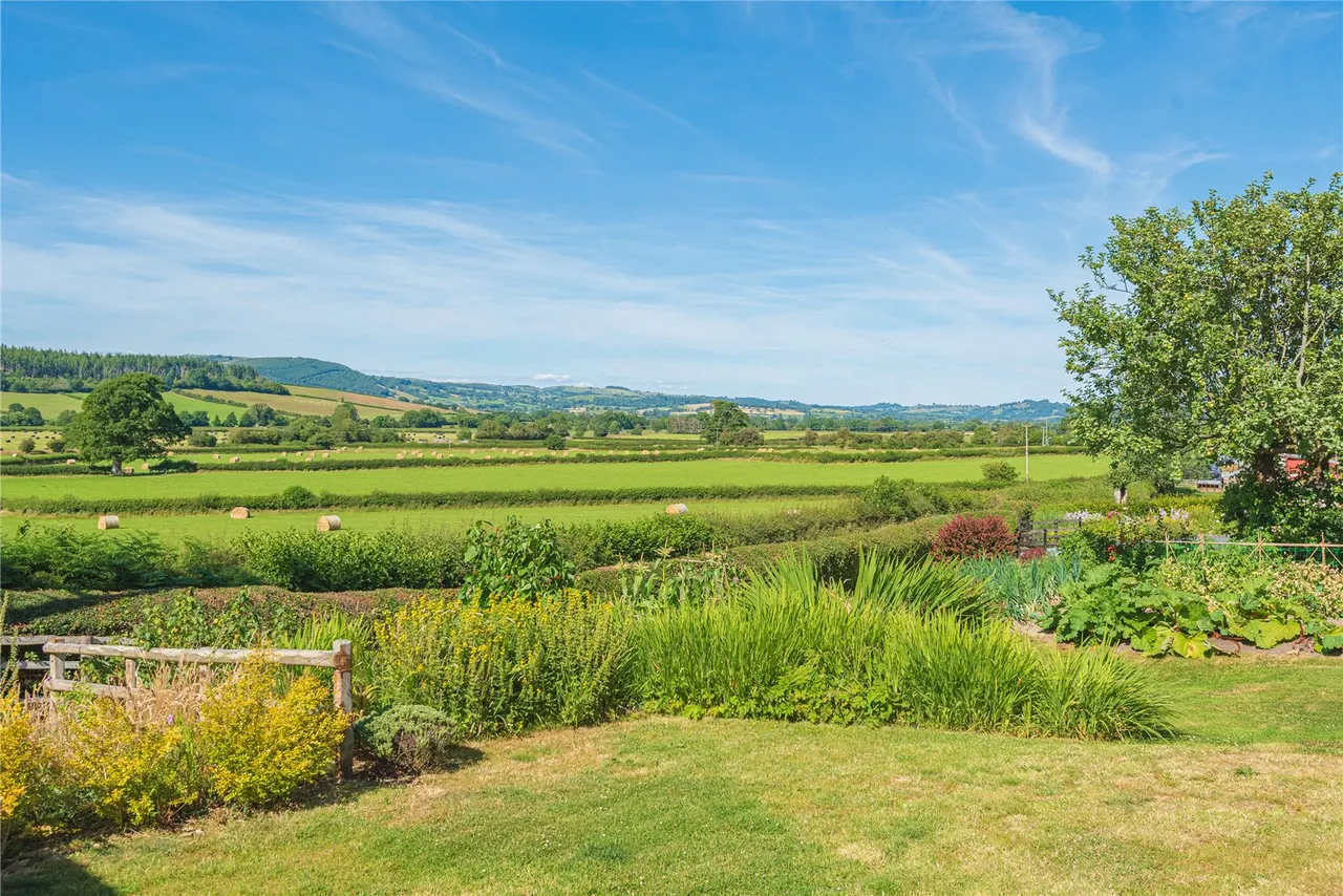 Llandinam, Powys, SY17 5BQ, photo 35