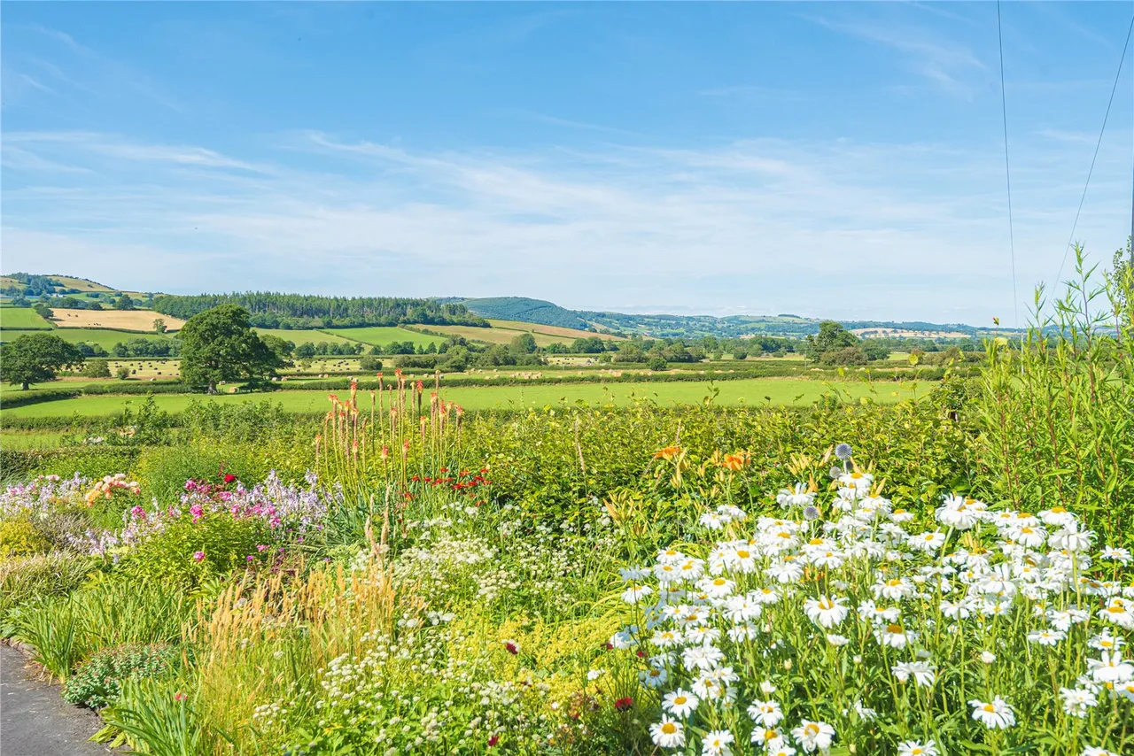 Llandinam, Powys, SY17 5BQ, photo 44