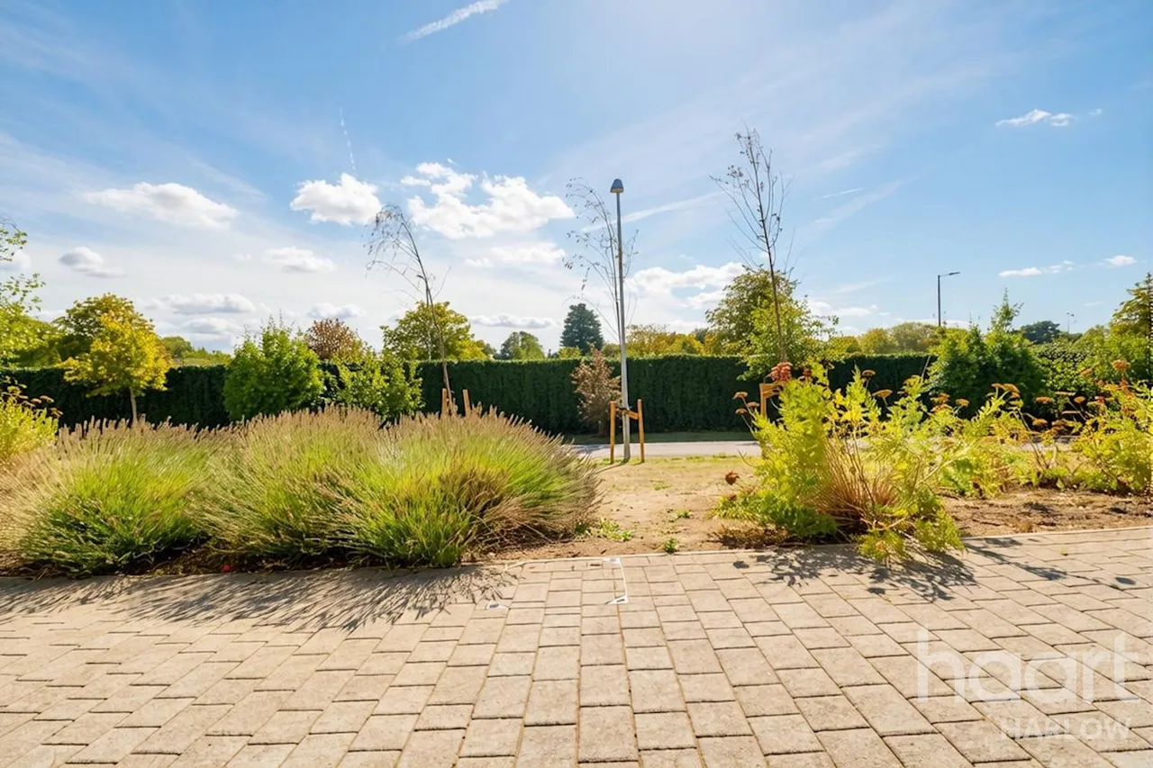 Birch Walk, Harlow, CM17, photo 23