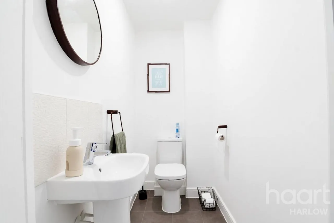 Birch Walk, Harlow, CM17, photo 7