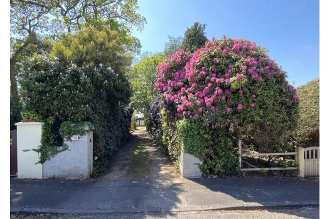 Hill View Road, Bournemouth, BH10, photo 9