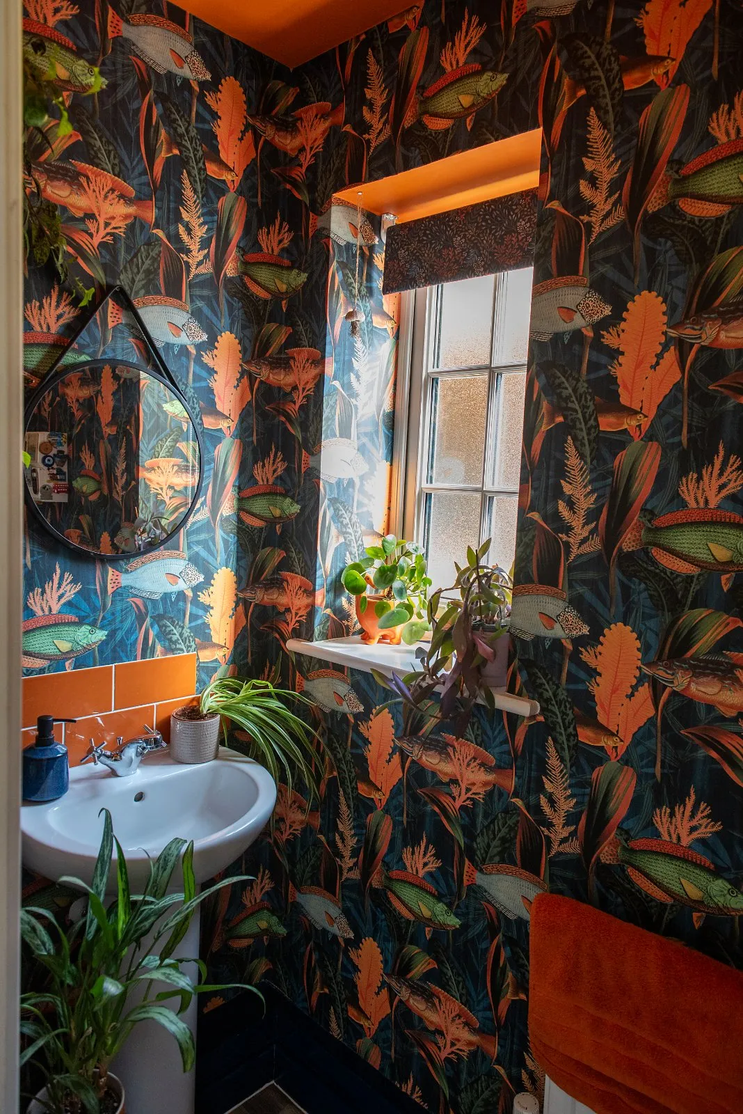 Goldfinch Drive, Faversham, ME13, photo 5